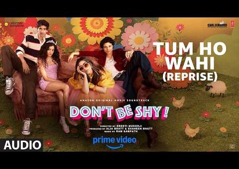 Tum Ho Wahi Reprise (Audio) | Don’t Be Shy | Nikhita Gandhi | Ram Sampath | Munna Dhiman