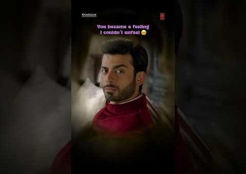 Naina | Khoobsurat | Sonam Kapoor, Fawad Khan | Sona Mohapatra, Armaan Malik | Amaal Mallik