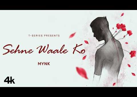 SEHNE WAALE KO (Official Video) – MYNK – T-SERIES