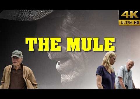 The Mule (2018) Movie || Clint Eastwood, Bradley Cooper,Andy García || Action Movie Review And Facts