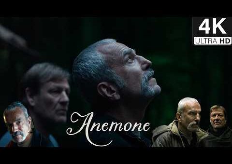 Anemone (2025) Movie || Daniel Day-Lewis, Sean Bean,Samantha Morton || Action Movie Review And Facts