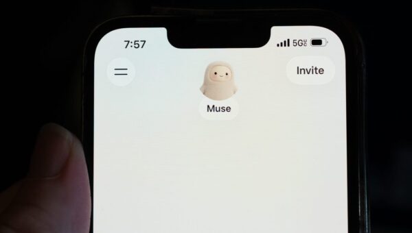 Shoppers find AI agents need a short leash — unless you need 20 pounds of chicken wings