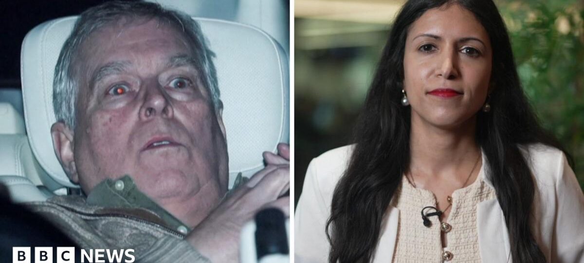What we know about former Prince Andrew's legal action against police