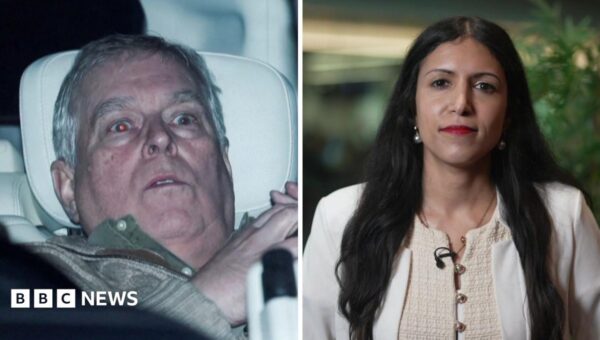What we know about former Prince Andrew’s legal action against police