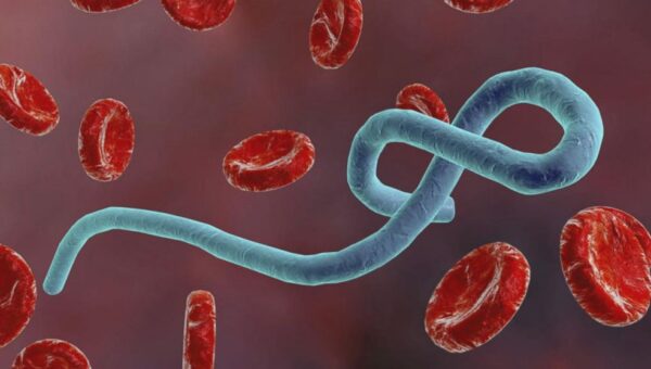Breaking: Two suspected Ebola cases identified in North-East Nigeria – NCDC
