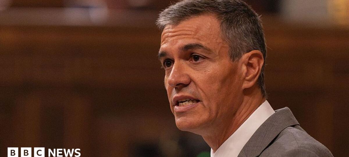 Spanish PM Sánchez calls early election after housing protests