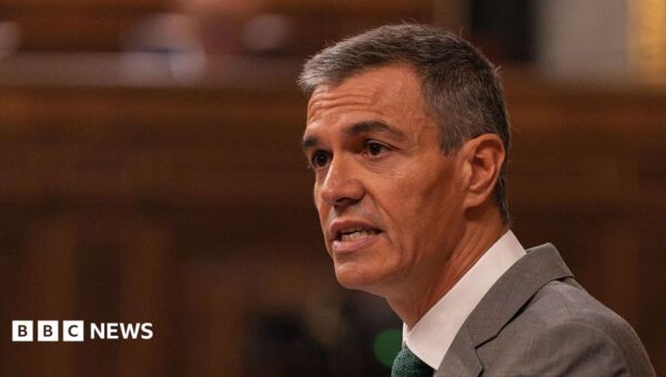 Spanish PM Sánchez calls early election after housing protests