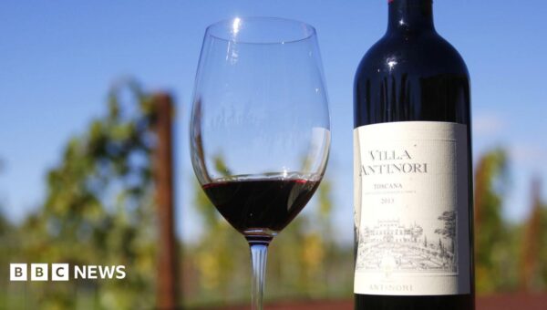 Thieves steal 30,000 wine bottles worth €5m in Italy, reports say