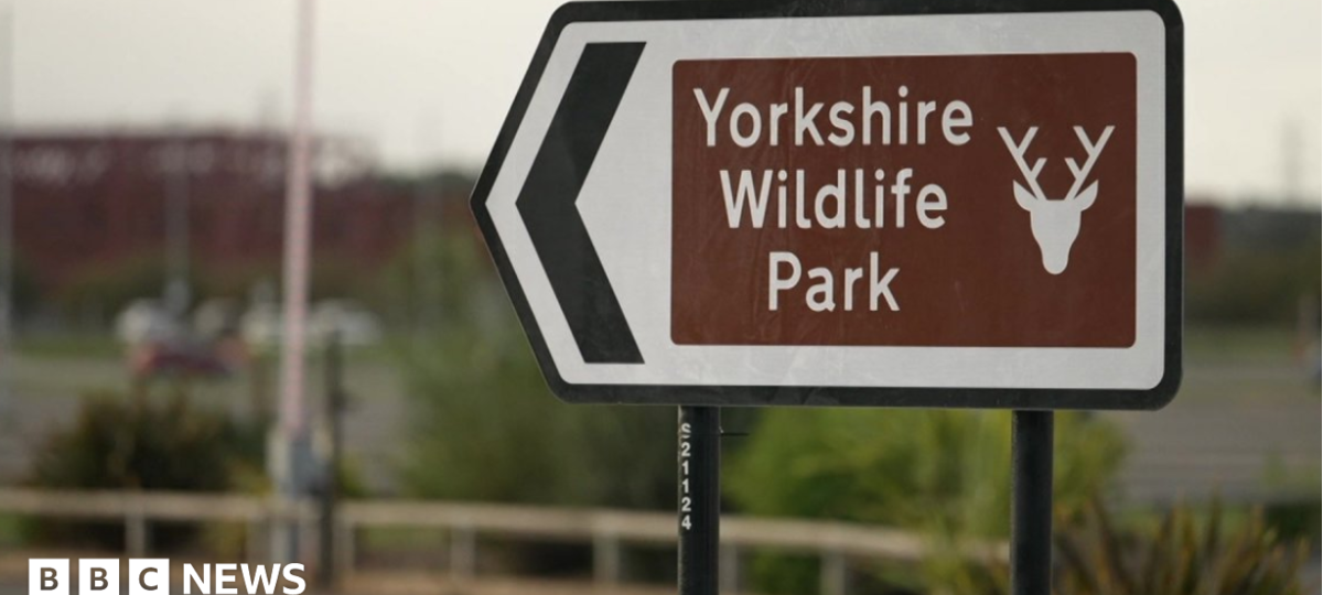 Man dies after tiger attack at wildlife park