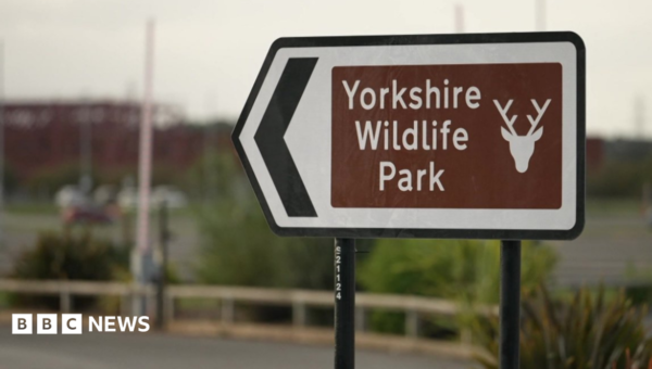 Man dies after tiger attack at wildlife park