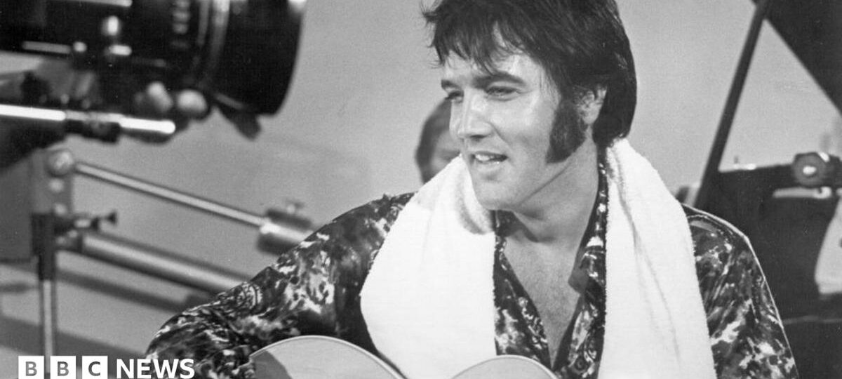 Owners of Elvis music rights sue Anthropic for copyright violations