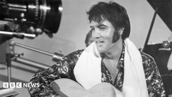 Owners of Elvis music rights sue Anthropic for copyright violations