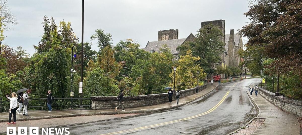 Cornell accuser was 'failed' by university healthcare system, lawyer says