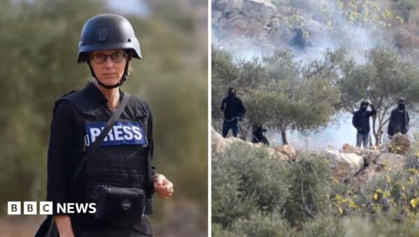 Israeli settlers attack Palestinians in West Bank during olive harvest