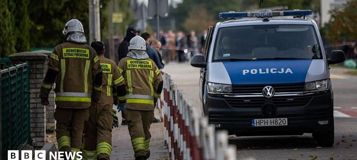 Poland stabbings driven by online glorification of violence, Tusk says