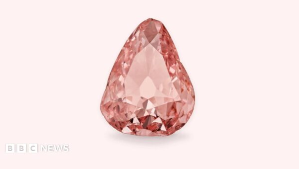Rare pink diamond goes on display in France 100 years after amateur heist