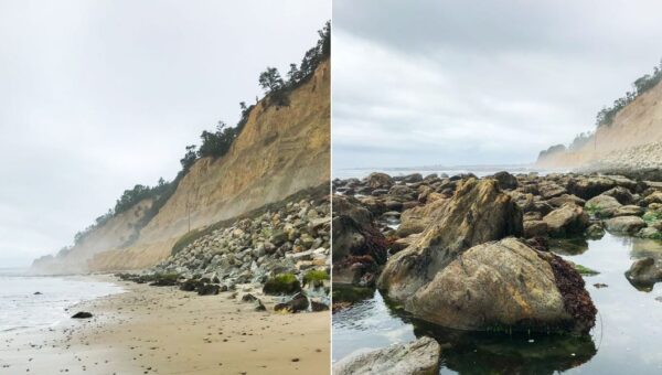 A National Geographic photographer shared 4 tips for taking better pictures with a phone