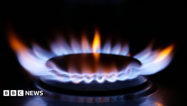 Chris Mason: Jackdaw approved but tricky energy trade-offs remain