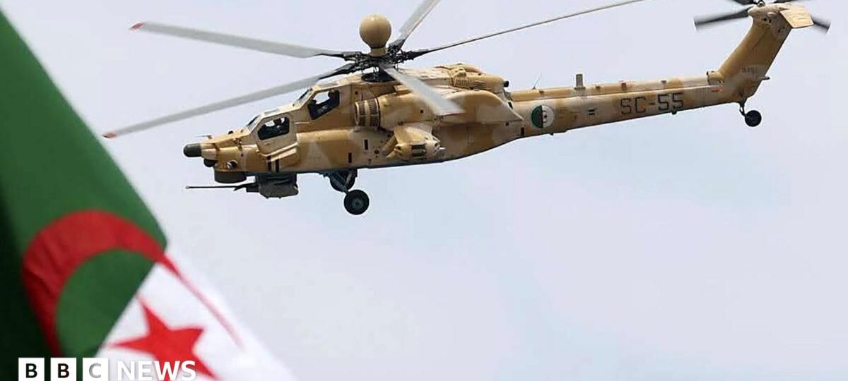 Algeria to send troops to Niger in first foreign deployment since 1973