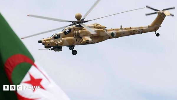 Algeria to send troops to Niger in first foreign deployment since 1973