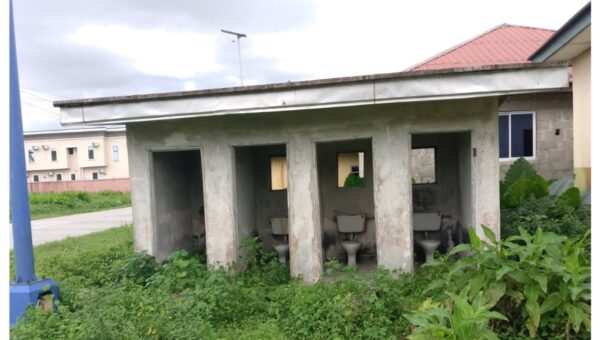 Weed overtakes Delta primary school, as pupils drink water from rust pipe