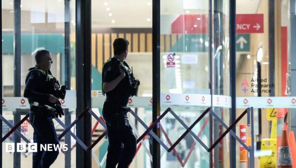 Warning signs over threats to Australian politicians were rising before MP hit by car