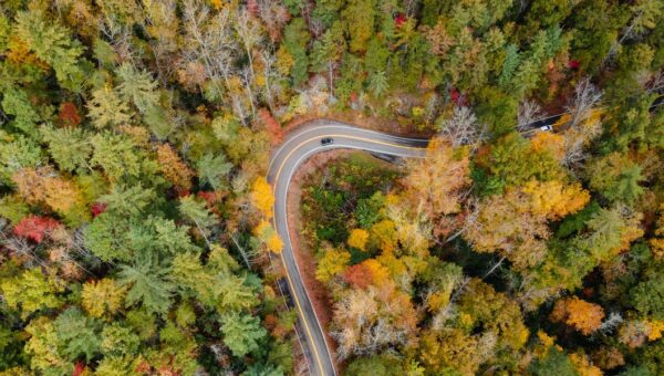 States with the best and worst road quality, ranked