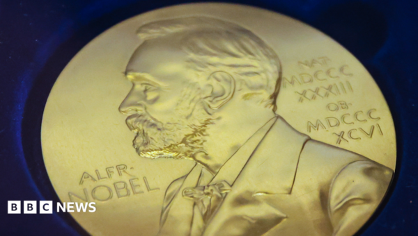 Chemistry Nobel awarded for solving mystery of life's asymmetry