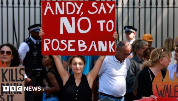 What is happening with the Jackdaw and Rosebank gas and oil fields?