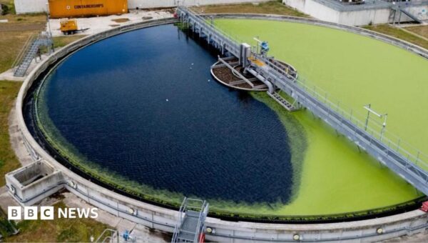 Serious pollution by water industry remains high despite £5bn investment
