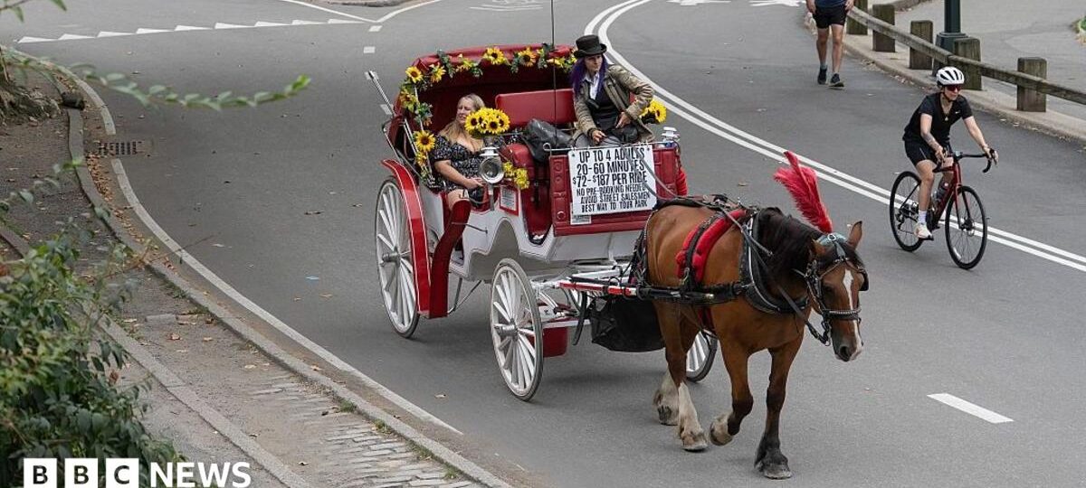 Horse-drawn carriages in New York City expected to be outlawed