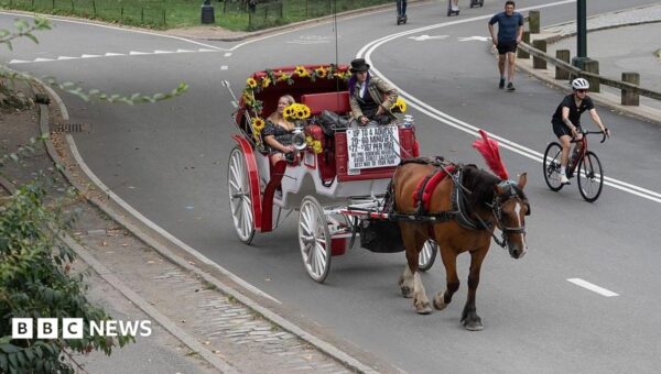 Horse-drawn carriages in New York City expected to be outlawed