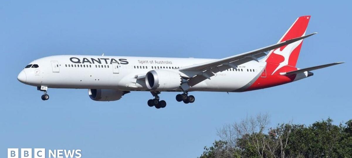 Qantas flight grounded after bedbug outbreak