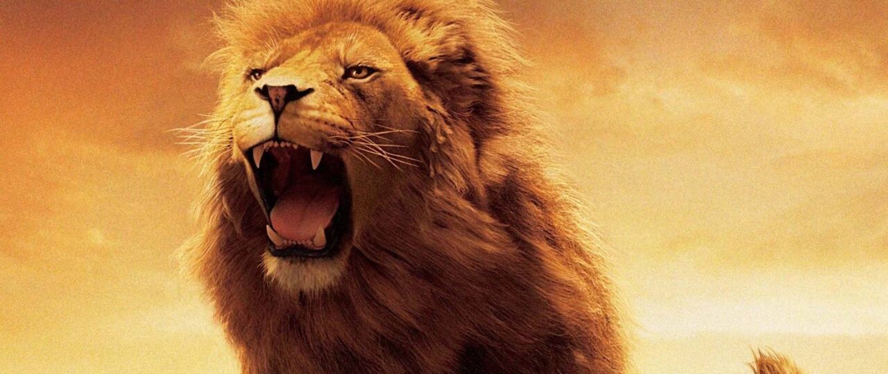 25 Most Fun Fantasy Books Of All Time
