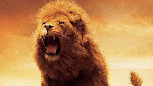25 Most Fun Fantasy Books Of All Time