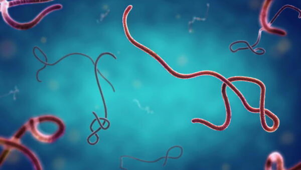 Nigeria’s first Ebola case ‘highly similar’ to Kenyan one – Minister