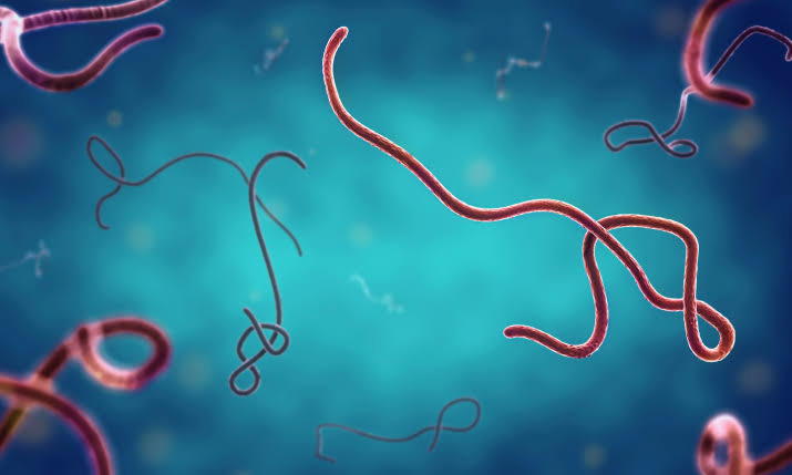 Nigeria’s first Ebola case ‘highly similar’ to Kenyan one – Minister