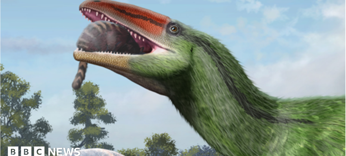 Isle of Wight fossil identified as new dinosaur species