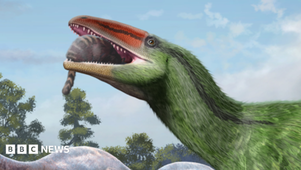 Isle of Wight fossil identified as new dinosaur species