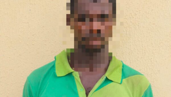 Niger: Police arrest man who allegedly hired kidnappers to kill farmer, take over land