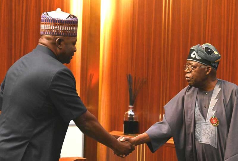 Tinubu meets Defence Minister Musa in Lagos over national security
