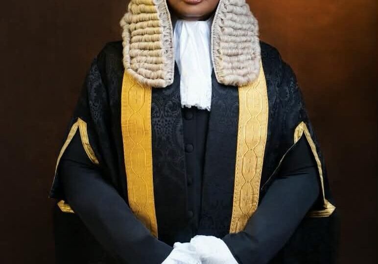 Olamide Ehinfun-Adekunle Becomes Nigeria’s Youngest Female Senior Advocate of Nigeria at 40