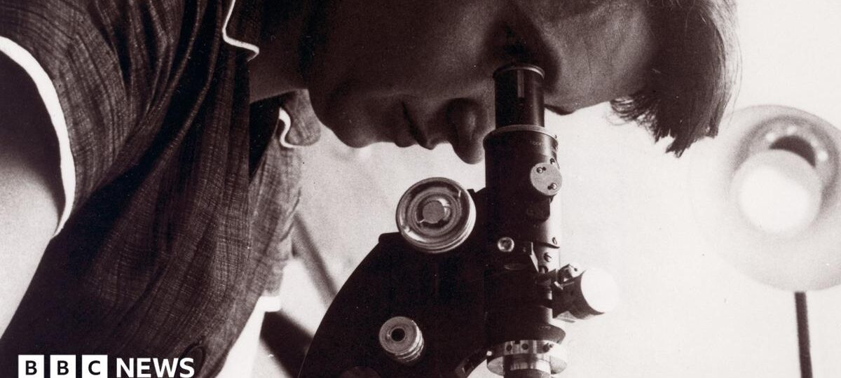Only one female scientist named in GCSEs, research finds