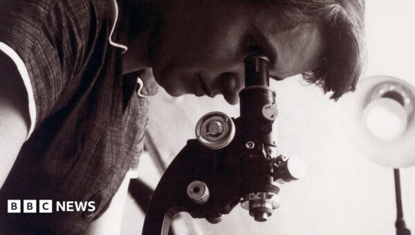 Only one female scientist named in GCSEs, research finds