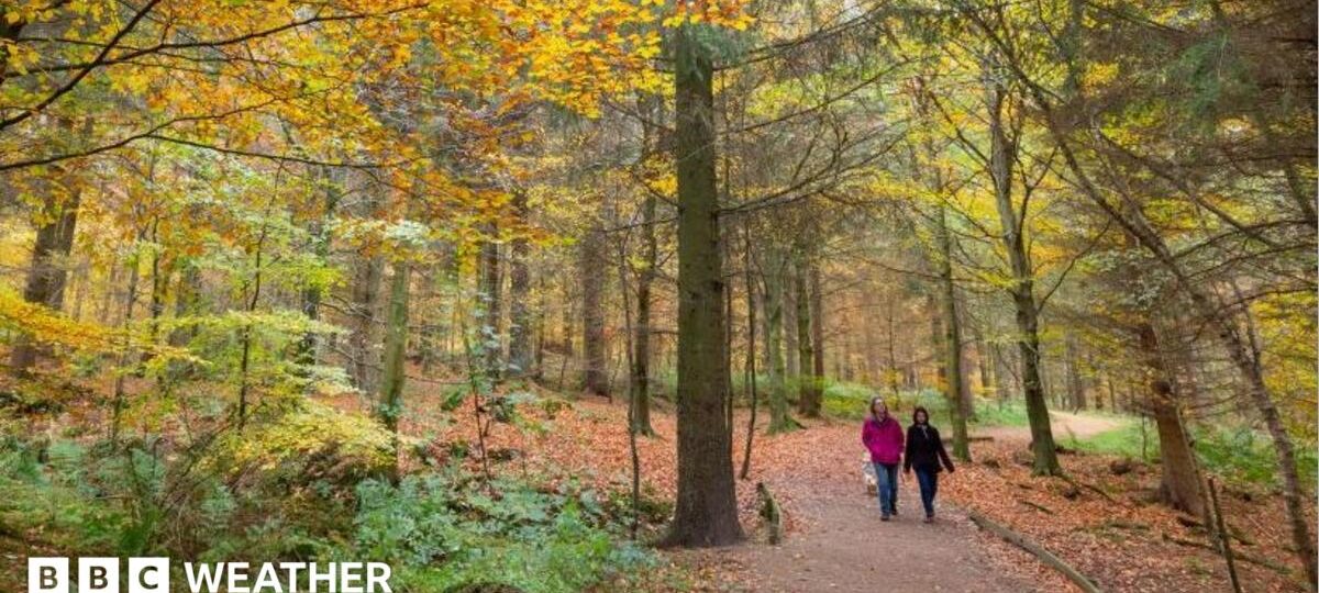 UK set for coldest night of autumn so far