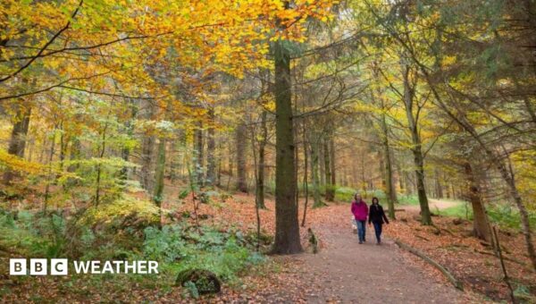 UK set for coldest night of autumn so far