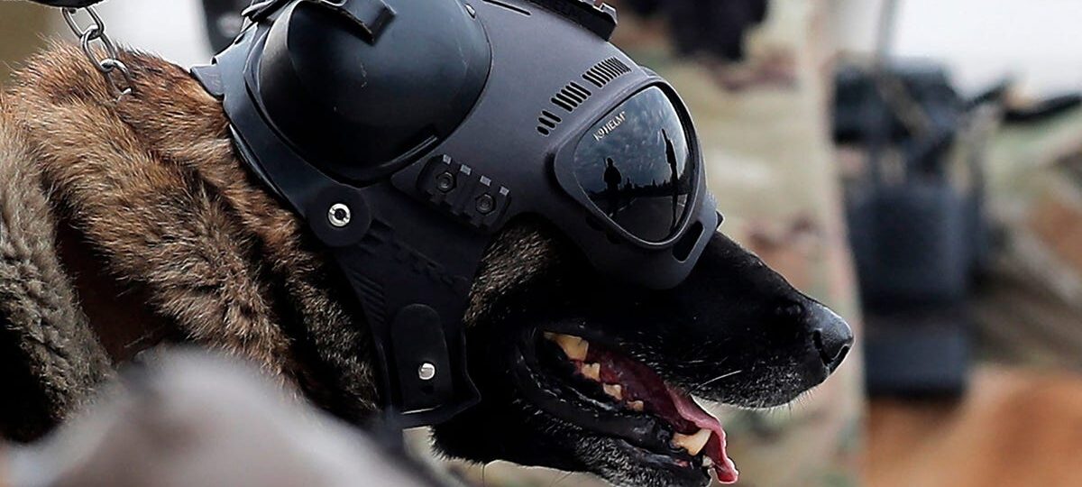 What is Warhound, Palmer Luckey's war dog startup that just emerged from stealth?