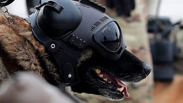 What is Warhound, Palmer Luckey's war dog startup that just emerged from stealth?