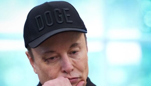 Judge says Elon Musk engaged in 'little more than state sanctioned intimidation' when he accused a DHS official of a crime