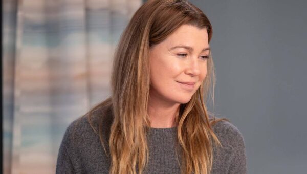 ABC Sets The Stage For Meredith’s Grey’s Anatomy Replacements